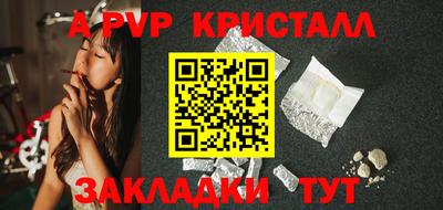 стафф Кандалакша