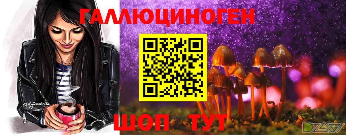 Галлюциногенные грибы Cubensis  Вход с VPN  наркошоп  Валуйки  Псилоцибиновые грибы Magic Shrooms 
