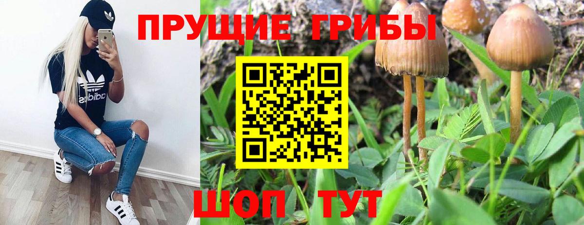 Галлюциногенные грибы Magic Shrooms Валуйки